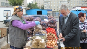 В Калининском районе г.Чебоксары продолжает свою работу сельскохозяйственная ярмарка «Дары осени – 2016»