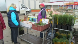 В Калининском районе г.Чебоксары продолжается мобильная торговля продукцией местных производителей