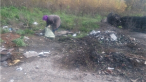 «Живи, лес!» в Цивильском районе: уборка мусора