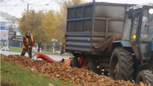 АО «Зеленстрой» продолжает наводить чистоту на улицах города