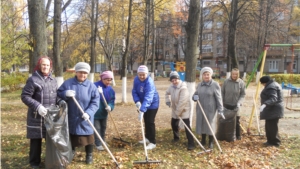 В ТОС «Возрождение» прошел субботник