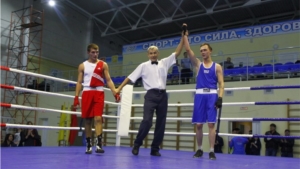 6 цивилян стали победителями юбилейного турнира по  боксу