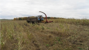 Уборка кукурузы в хозяйствах Ибресинского района