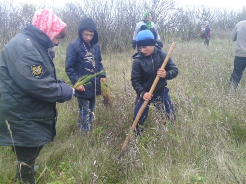 Акция «Живи лес» в Карачевском сельском поселении