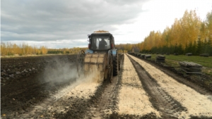 В Канашском лесничестве выполнен посев семян липы