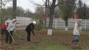 Общегородской день санитарной культуры в Алатыре