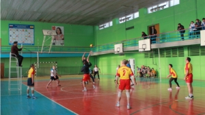Cоревнования по волейболу, посвященные Дню работника налоговых органов Российской Федерации