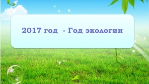 О проведении на территории города Чебоксары Года экологии