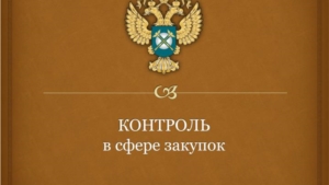 Об организации финансового контроля в сфере закупок товаров (работ, услуг) с 1 января 2017 года