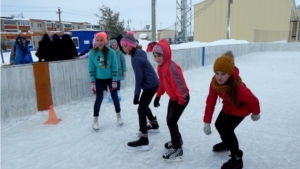 День зимних видов спорта в Аликовском районе