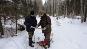 Завершается зимний маршрутный учет охотничьих ресурсов