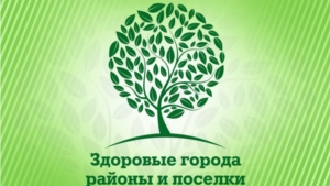 Общее собрание российской Ассоциации «Здоровые города, районы и посёлки» прошло в городе Вологда