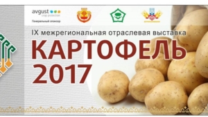 IX Межрегиональная выставка «Картофель – 2017»