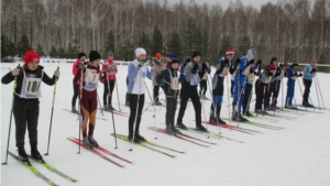 В Алатырском районе прошел зимний фестиваль ВФСК ГТО