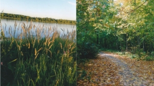 Конкурс фотографий «Природа моей малой Родины»