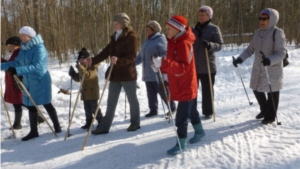 Получатели социальных услуг НЦСОН продолжают совершать прогулки по Ельниковской роще