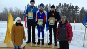 Соревнования по лыжным гонкам памяти П.М. Сергеева