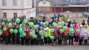 В рамках Года Экологии в России Центральная районная библиотека провела «День экологических знаний»