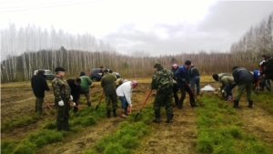 В Чебоксарском лесничестве начался весенний лесокультурный сезон