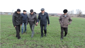 Глава администрации Яльчикского района Николай Миллин ознакомился с ходом полевых работ