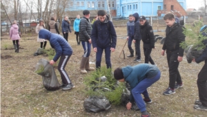 В рамках Года экологии: расцветай, мой край родной