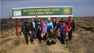 В Заволжье прошел Всероссийский день посадки леса