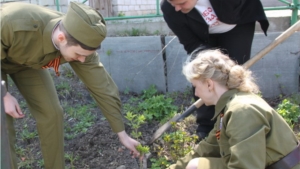 Акции по посадке деревьев в Алатыре