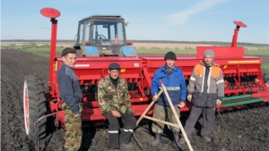 В агрофирме «Заря» полным ходом идут посевные работы