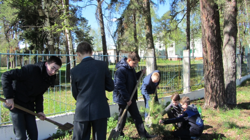 Посадка деревьев шумерлинскими гимназистами