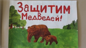 Итоги конкурса "Сохраним заповедную природу" в Аликовском районе