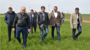 Глава Чувашии Михаил Игнатьев посетил Цивильский и Красноармейский районы