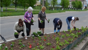 В городе Мариинский Посад начались работы по благоустройству и озеленению клумб и цветников