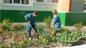 Красота радует глаз: в Комплексном центре г.Чебоксары продолжается благоустройство и озеленение территории