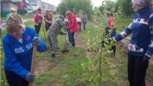 Совсем скоро в с.Красные Четаи появится новый парк