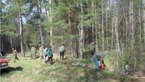 В Ибресинском лесничестве прошли субботники в рамках Дней защиты от экологической опасности
