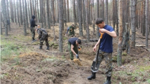 Более 40 поисковиков из отрядов участвовали на раскопках ДОТа в Заволжье