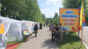 Районный праздник песни, труда и спорта "Акатуй" и празднование 90-летия со дня образования Козловского района «Юбилей встречай, козловский край!». Фоторепортаж 1