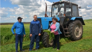 В хозяйствах района началась кормозаготовка и продолжается химпрополка