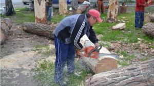 В рамках Дня Республики стартовал Всероссийский фестиваль резчиков бензопилой по дереву "Фантазия из дерева"