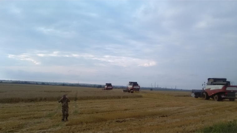 Оперативная информация о ходе проведения полевых работ в Мариинско-Посадском районе