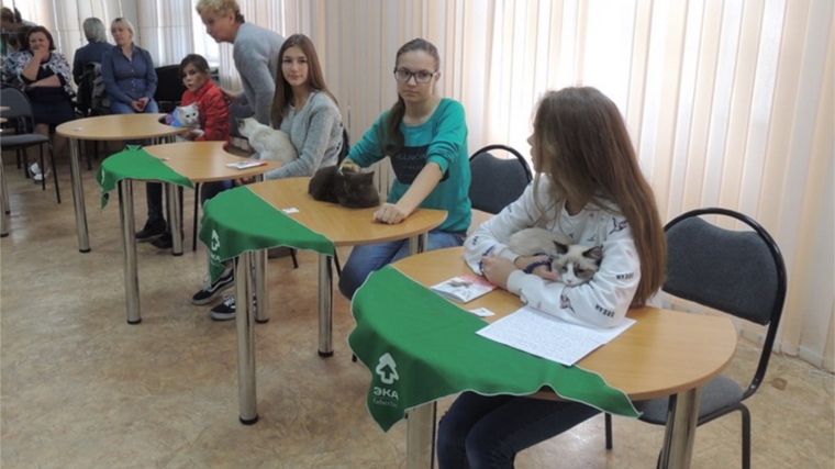В День города Шумерля прошла выставка-фестиваль «Городские кошки»