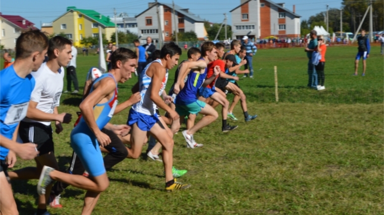 Вурнарские спортсмены успешно выступили в Чемпионате Чувашии по кроссу