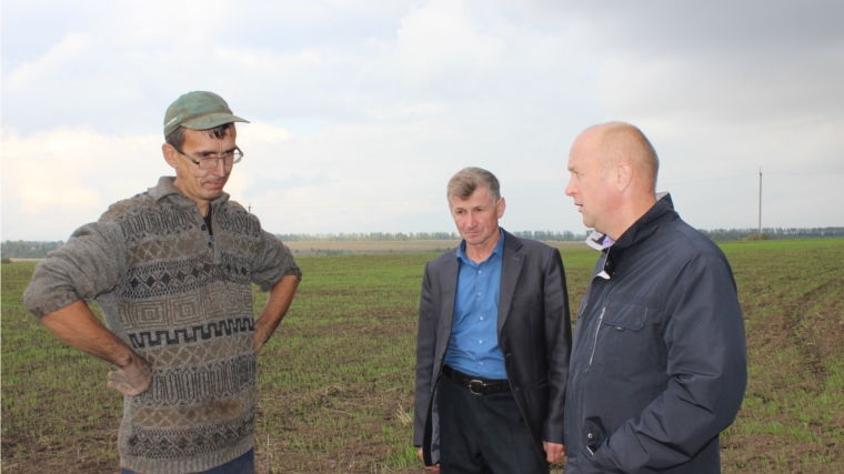 В Ядринском районе убрано 83% зерновых культур