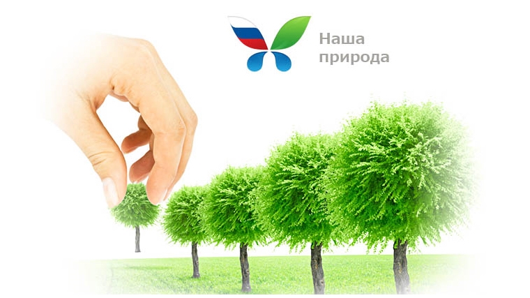 Об экологических нарушениях можно сообщить в ГИС «Наша природа»