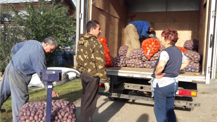 Ярмарки «Дары осени» – возможность для горожан купить экологически чистую продукцию в шаговой доступности