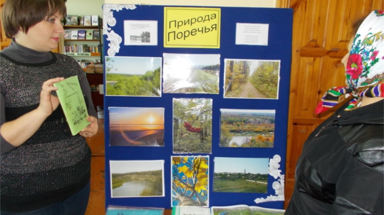 Году экологии в России посвящена выставка «Природа Поречья»
