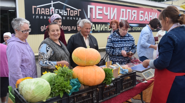 Месячник по реализации сельскохозяйственной продукции продолжается: приглашаем чебоксарцев за «дарами осени»