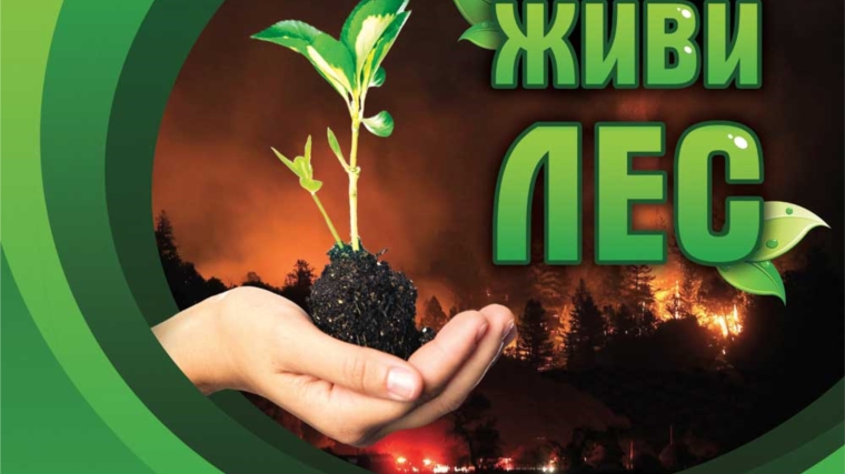 1 сентября по всей стране стартовала Всероссийская акция «Живи, лес!»