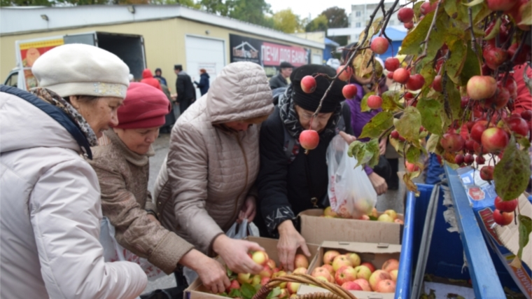 «Дары осени - 2017»: на отведенных для ярмарок-распродаж площадках Московского района реализовано более 250 тонн сельхозпродукции на сумму свыше 4 млн рублей