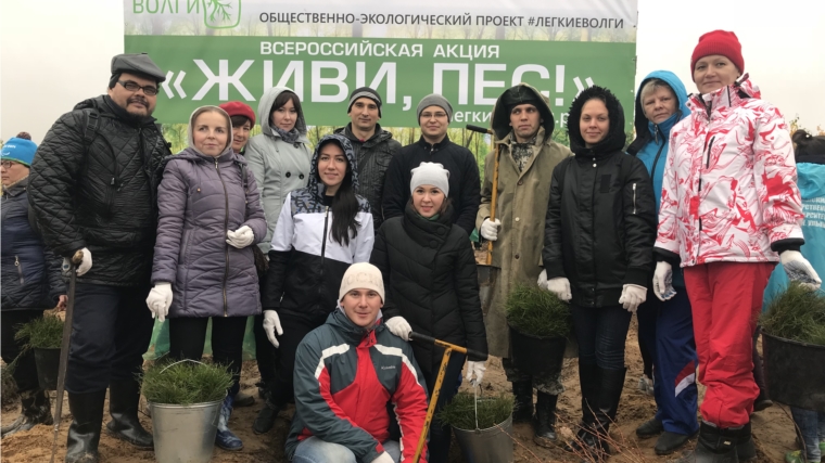 Коллектив Минюста Чувашии принял участие в акции «Живи, лес!»